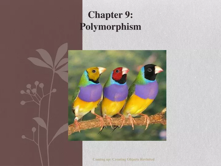 chapter 9 polymorphism