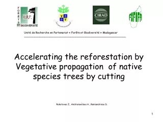 Accelerating the reforestation by Vegetative propagation  of native species trees by cutting