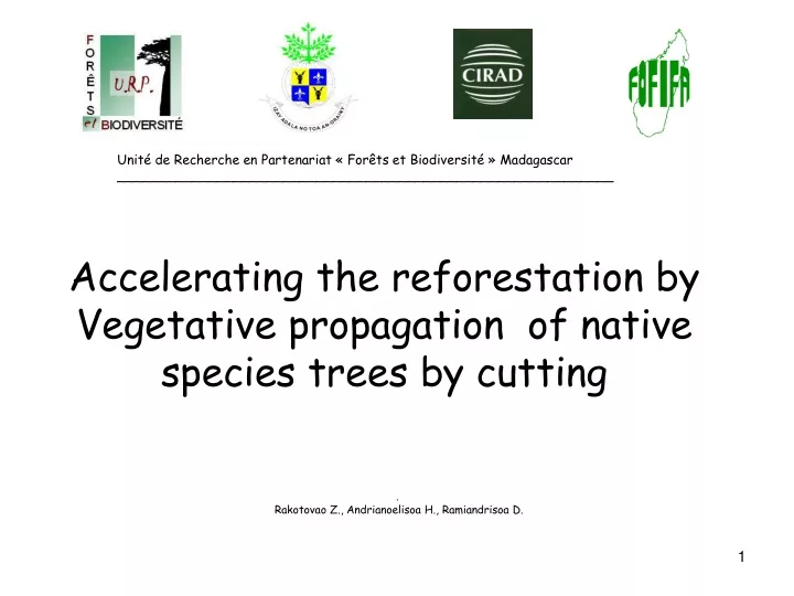 accelerating the reforestation by vegetative propagation of native species trees by cutting