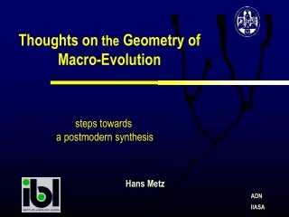 Thoughts on  the  Geometry of Macro-Evolution
