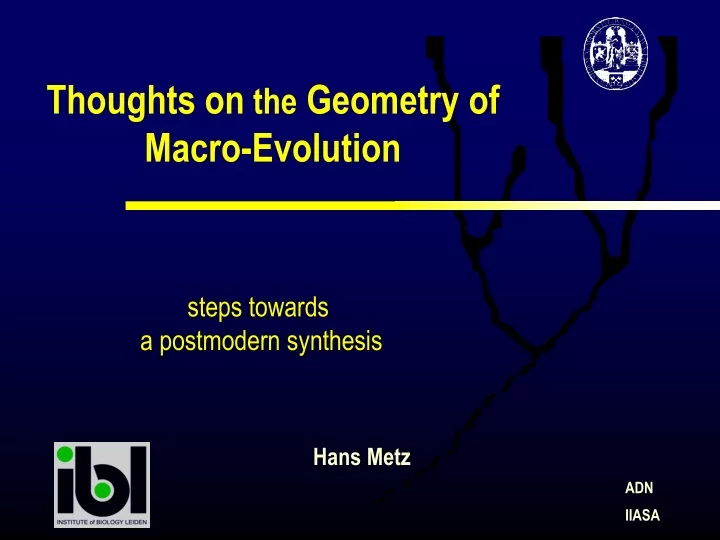thoughts on the geometry of macro evolution