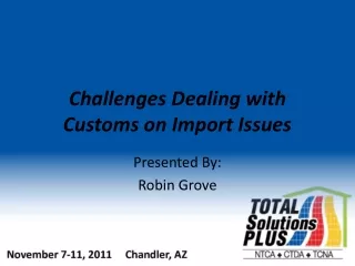 Challenges Dealing with Customs on Import Issues