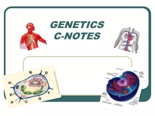 GENETICS C-NOTES