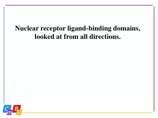 Nuclear receptor ligand-binding domains, looked at from all directions.