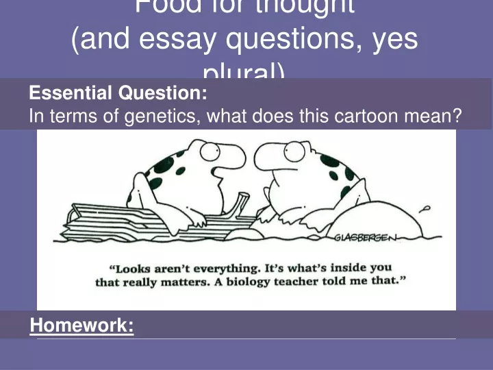 food for thought and essay questions yes plural