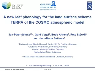 A  new leaf phenology for the land surface scheme  TERRA  of the  COSMO  atmospheric model