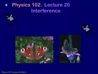 Physics 102:  Lecture 20 Interference