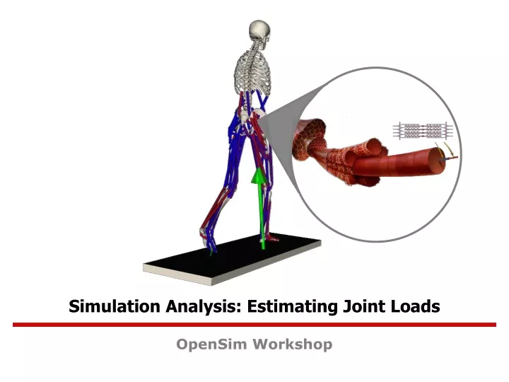 simulation analysis estimating joint loads