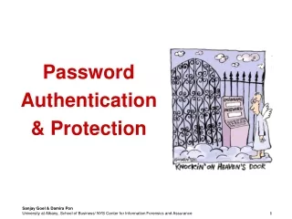 Password Authentication  &amp; Protection