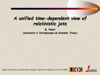 A unified time-dependent view of relativistic jets