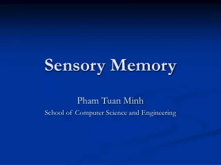 Sensory Memory