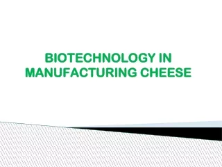BIOTECHNOLOGY  IN  MANUFACTURING CHEESE