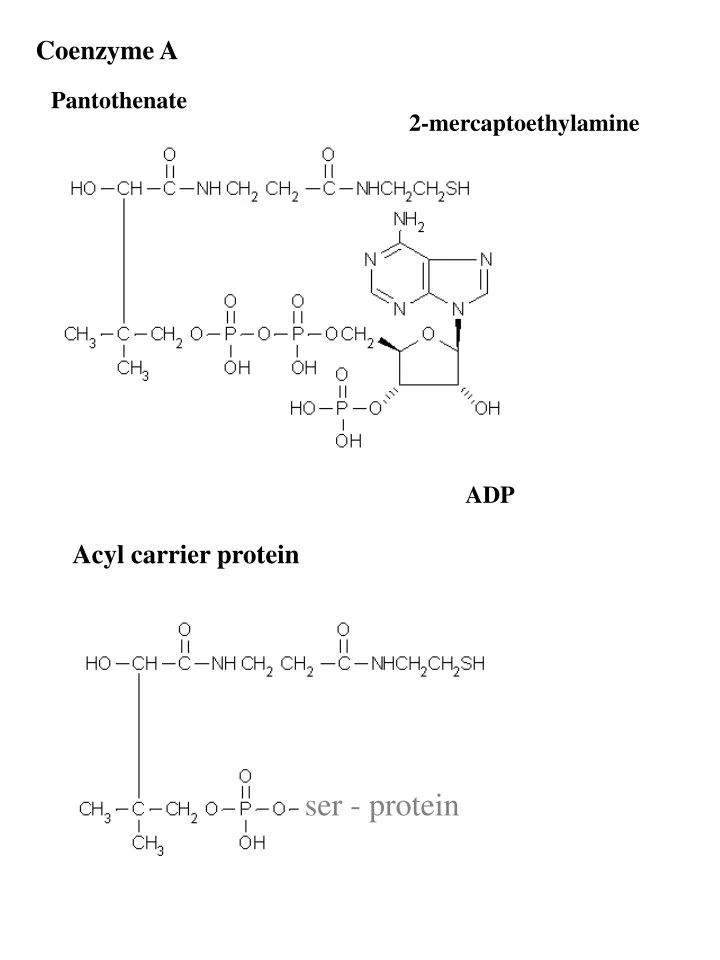 ser protein