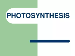 PHOTOSYNTHESIS