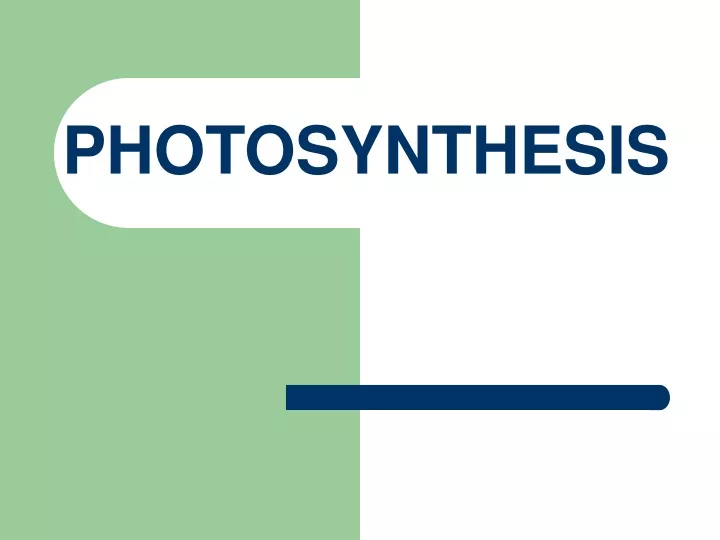 photosynthesis