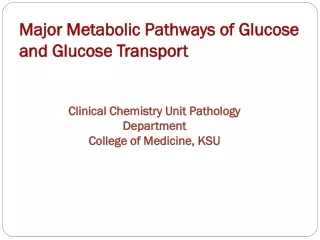 Major Metabolic Pathways of Glucose and Glucose Transport