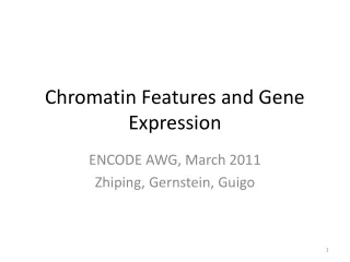 Chromatin Features and Gene Expression