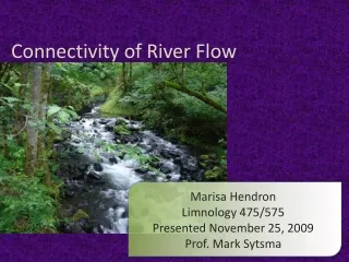 Connectivity of River Flow