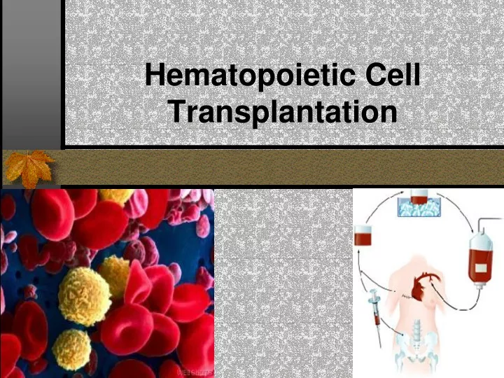hematopoietic cell transplantation