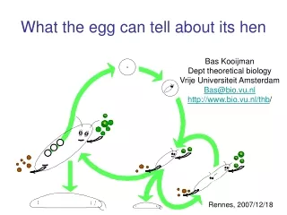 What the egg can tell about its hen