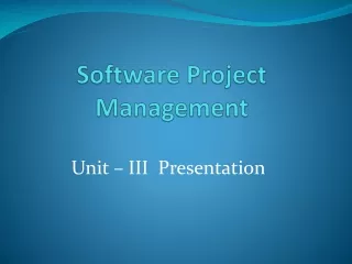 software project management