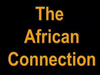 The  African Connection