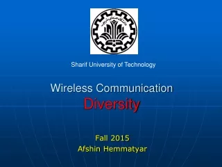 Wireless Communication Diversity