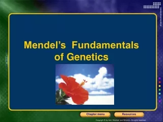 Mendel’s  Fundamentals  of Genetics