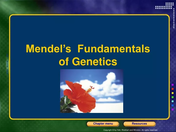 mendel s fundamentals of genetics