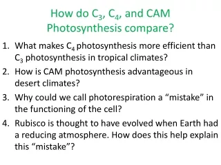 How do C 3 , C 4 , and CAM Photosynthesis compare?