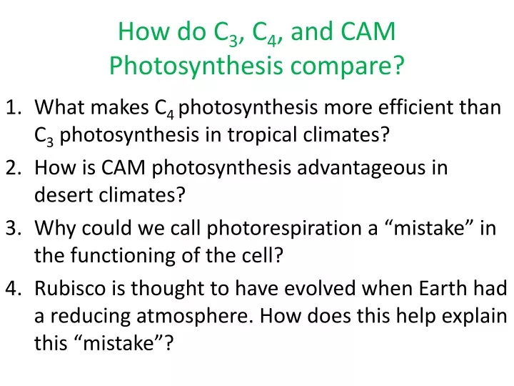 how do c 3 c 4 and cam photosynthesis compare