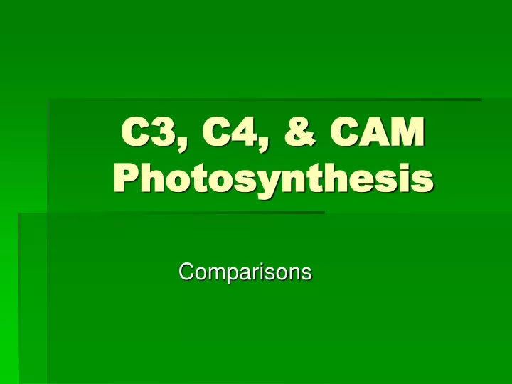 c3 c4 cam photosynthesis