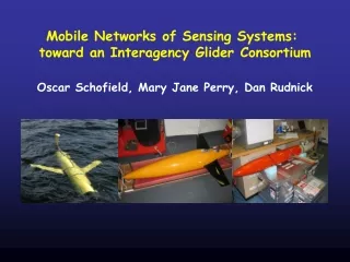 Mobile Networks of Sensing Systems:  toward an Interagency Glider Consortium