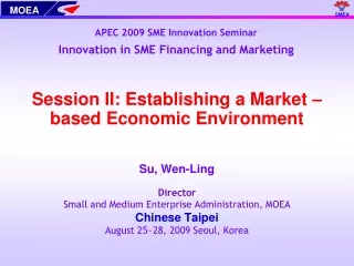 APEC 2009 SME Innovation Seminar Innovation in SME Financing and Marketing