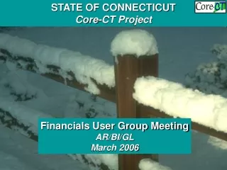 Financials User Group Meeting BI/AR/GL November 2005