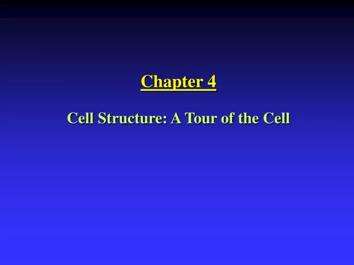chapter 4 cell structure a tour of the cell