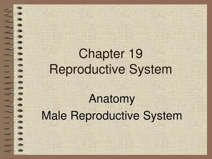 chapter 19 reproductive system