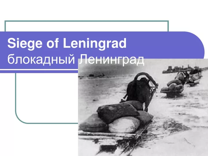 siege of leningrad