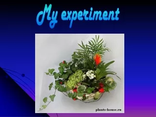 My experiment