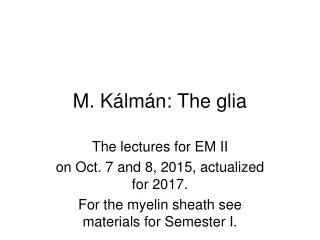 M. Kálmán: The glia