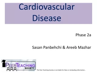Phase 2a Sasan Panbehchi &amp; Areeb Mazhar