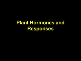 Plant Hormones and Responses