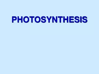 PHOTOSYNTHESIS