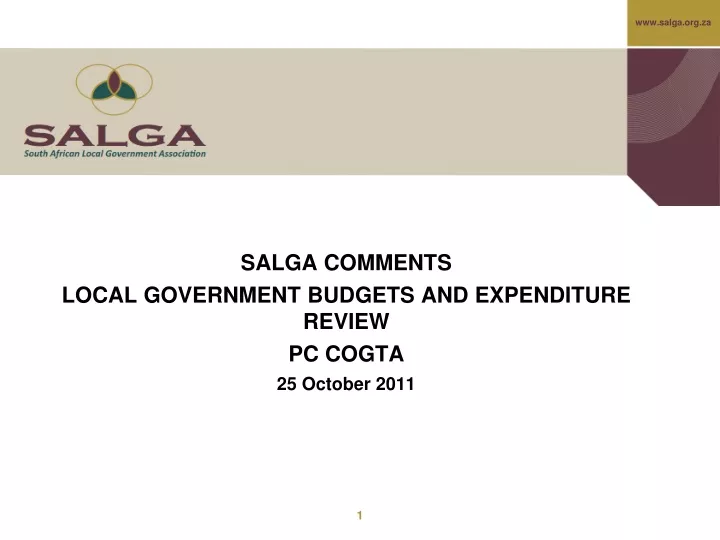 salga comments local government budgets