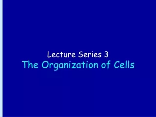Lecture Series 3 The Organization of Cells