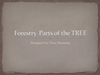 Forestry-Parts of the TREE