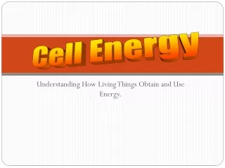 Understanding How Living Things Obtain and Use Energy.