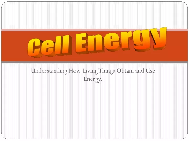 understanding how living things obtain and use energy