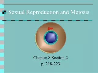 Sexual Reproduction and Meiosis