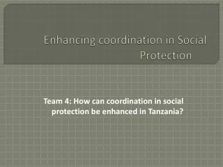 Enhancing coordination in Social Protection